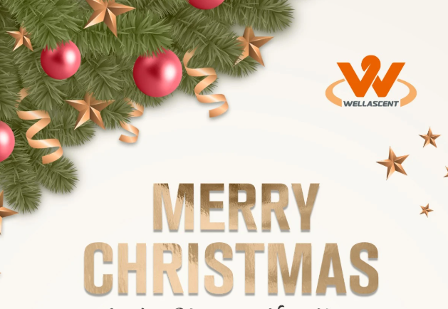 Merry Christmas and a Happy New Year
