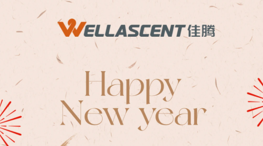 喜迎新岁，万象更新！